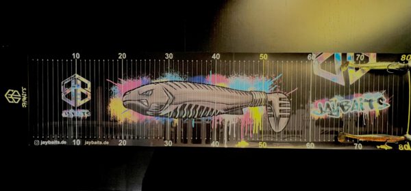 Custom-Streetfishing Scale 80-120 cm – Bild 3
